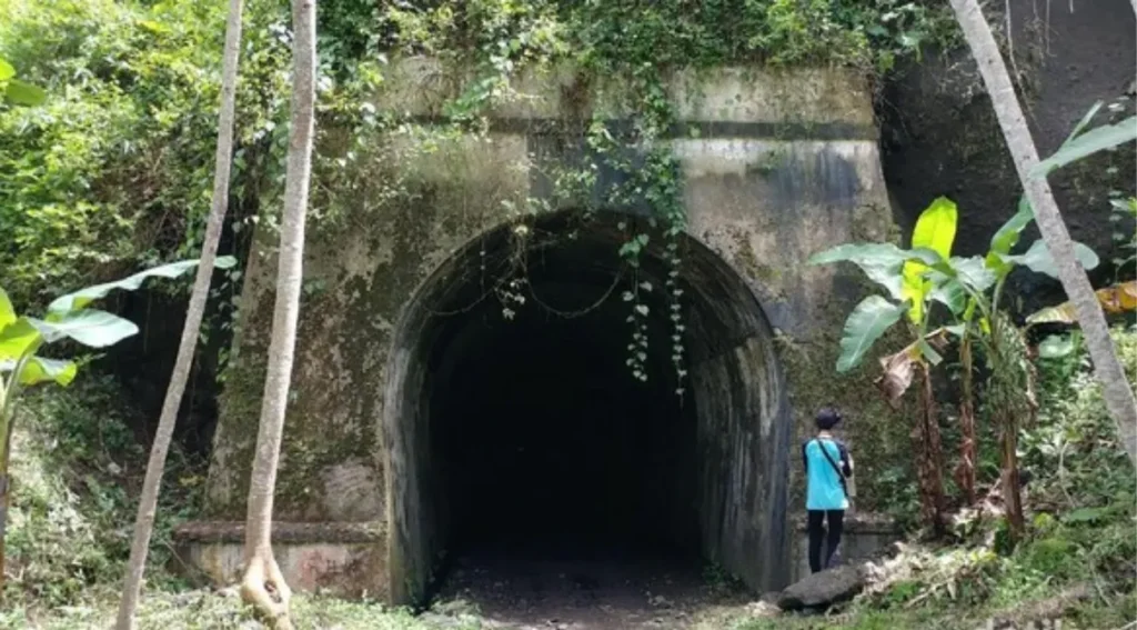 Misteri Terowongan Wilhelmina dan Keajaiban Mistis Jalur Kereta Bersejarah Pangandaran