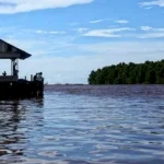 Misteri Sungai Kapuas: Mitos Makhluk Puake, Sang Siluman Naga
