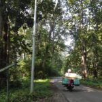 Misteri dan Keajaiban Hutan Jati Donoloyo di Wonogiri