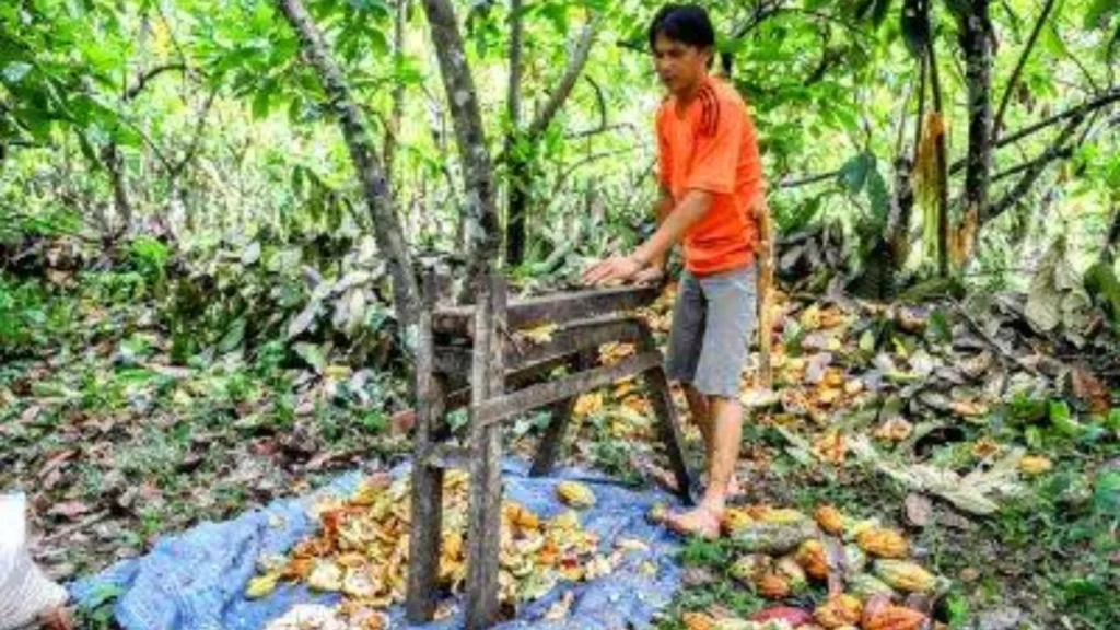 Indonesia Memiliki Sejarah Panjang Dalam Produksi Komoditas
