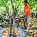 Indonesia Memiliki Sejarah Panjang Dalam Produksi Komoditas