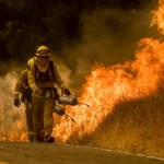 Menghadapi Krisis Kebakaran Hutan dan Lahan di California Selatan