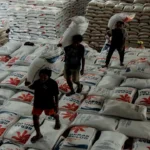 Bulog Ungkap Stok Beras Mencapai 193 Juta Ton